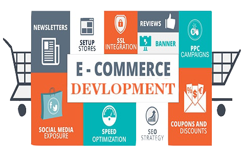 website development company in indore